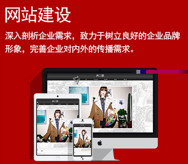 宣傳型網(wǎng)站建設(shè)